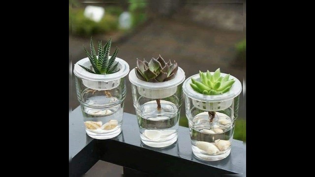 '1 New look home decorating ideas | DIY crafts indoor plants'