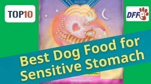 'Top 10 Best Dog Food for Sensitive Stomach✅Buying Guide#DogFoodFirst'