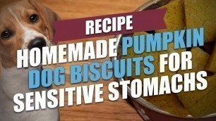 'Homemade Pumpkin Dog Biscuits for Sensitive Stomachs Recipe'
