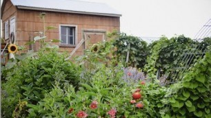 'Summer Cottage Garden Tour | I need HELP! | English Style Garden Design'