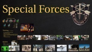 'Special Forces (Green Beret) Explained – What is SF?'