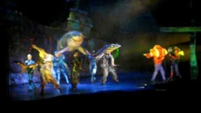 'Finding Nemo the Musical Animal Kingdom, Disney World'
