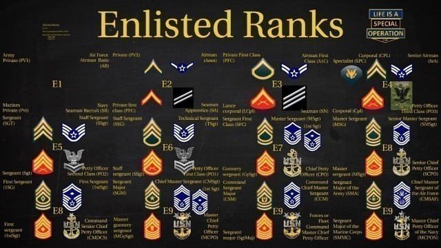 'US Military (All Branches) ENLISTED Ranks Explained'