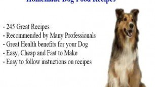 'home dog food recipe'
