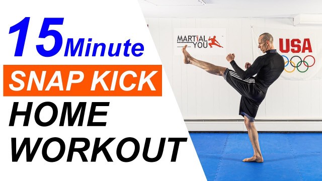 '15 Minute Martial Arts Fitness Home Workout with Taekwondo Snap Kicks ( No Equipment )'
