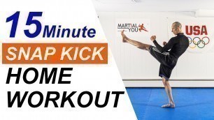 '15 Minute Martial Arts Fitness Home Workout with Taekwondo Snap Kicks ( No Equipment )'