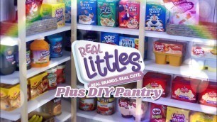 'DIY - How to Make: Miniature Pantry PLUS Shopkins Real Littles Mega Haul'