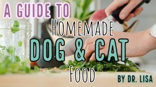 'A Guide to Homemade dog & cat food | Veterinarian Dr. Lisa discusses (2019)'