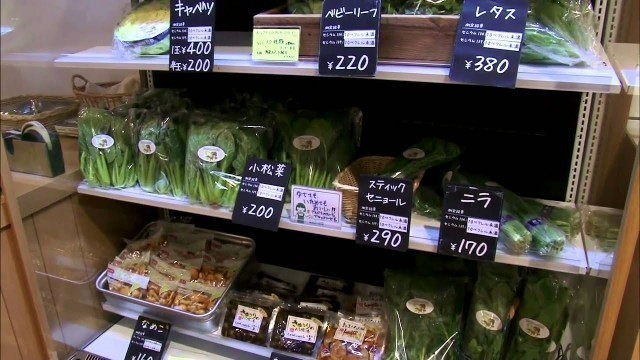 'Fukushima\'s Food Fallout: Testing Groceries for Radiation in Japan'