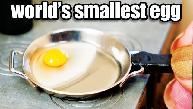'Where do I get my TINY eggs?  | How To Cook That Ann Reardon | Cooking the worlds smallest eggs'