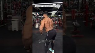 'exercise for lats & back workout #fitness #workout #exercise #fitspo #gym #bodybuilder | THE MUSCLE'