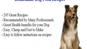 'homemade recipes for dog food'