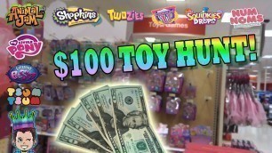 '$100 DOLLAR TOY HUNTING SHOPPING SPREE!  Shopkins, Squinkies, Animal Jam & More!'