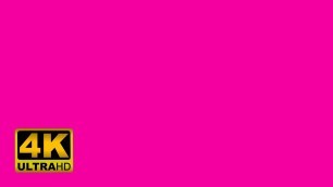 'FASHION FUCHSIA screen 