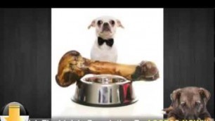 'All Natural Homemade Dog Food Recipe'
