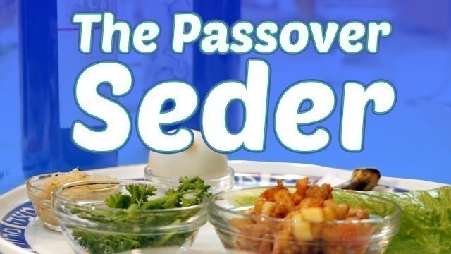 'The Passover Seder: What to Expect'