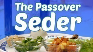 'The Passover Seder: What to Expect'