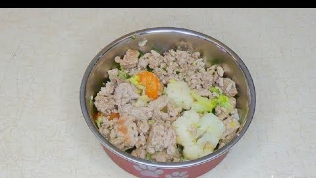 'Homemade Dog Food Recipe for Skin Allergies'