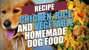 'Chicken, Rice and Vegetable Homemade Dog Food Recipe'