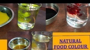 '#100% pure food colour #  How to make food colour at home?  # Food colour'