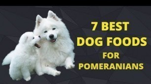 '7 Best Dog Foods for Pomeranians 2019 - Which Best Dog Foods in USA'