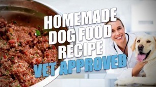 'Homemade Dog Food Recipe Vet Approved (Limited Ingredient)'
