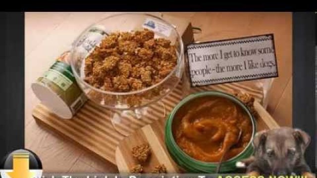 'Dog Information - Homemade Dog Food Recipes'