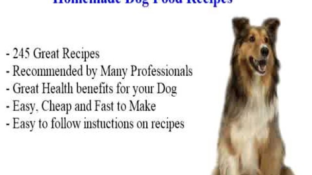 'how to make dog treats'