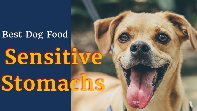 'Best Dog Food for dogs with sensitive Stomachs .'