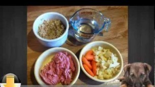 'Healthy Homemade Dog Food - The Smart Nutrition Alternative'