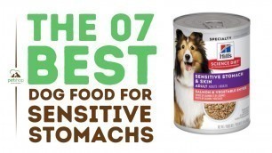 'Best Dog Foods for Sensitive Stomachs'