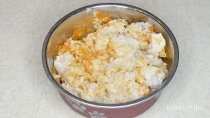 'Chicken and Rice Dog Food Recipe for Upset Stomach'