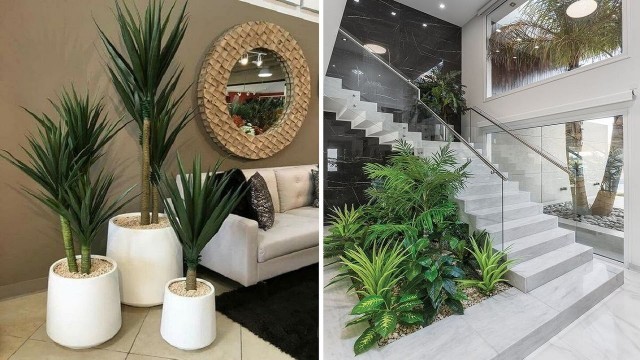 'Indoor plants interior decor ideas | Indoor plant ideas 2020 | Home Sweet Home'