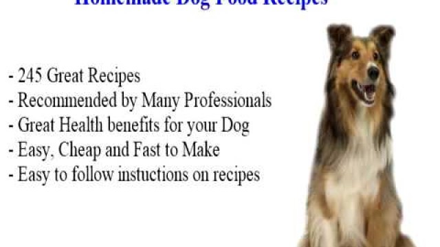'diabetic dog food recipes'