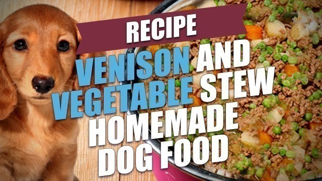 'Venison and Vegetable Stew Homemade Dog Food Recipe'