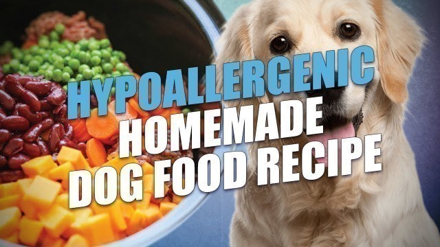 'Hypoallergenic Homemade Dog Food Recipe'