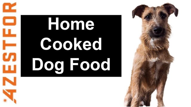 'Home Cooked Dog Food