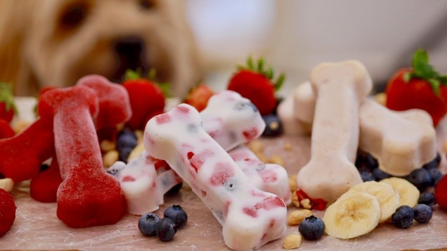 'Homemade Dog Treats feat. my Dog, Waffles! ❤️ 