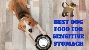 'Best Dog Food for Sensitive Stomach | Homemade Dog Food Sensitive Stomach'