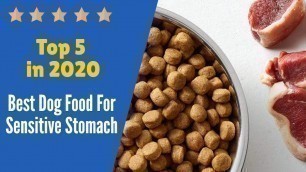 'Top 5 Best Dog Food For Sensitive Stomach in 2020.'