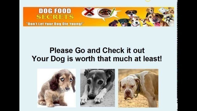 'Dog Food For Small Dogs With Sensitive Stomachs'