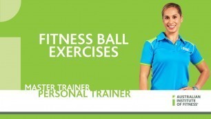 'Fitness Ball Exercises'