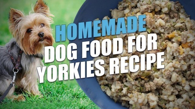 'Homemade Dog Food for Yorkies Recipe'