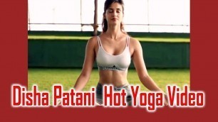 'Bollywood Actress Disha Patani Hot Yoga Video | Workout Bollywood | Tollywood TV'
