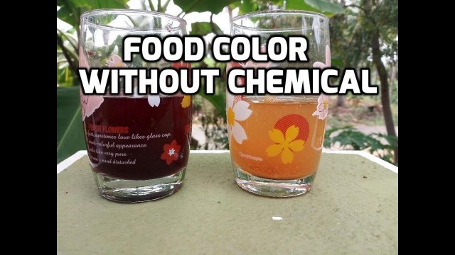 'Natural Food color at home -- Tamil'