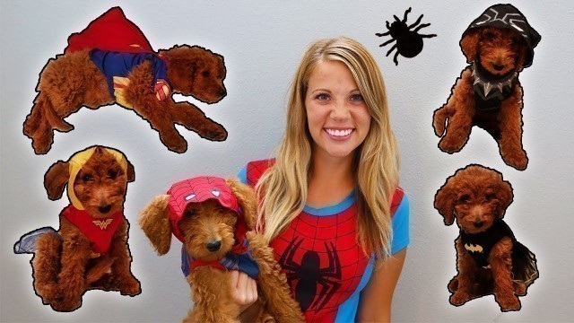 'Super Hero Fashion Show With Golden Doodle Puppy!'