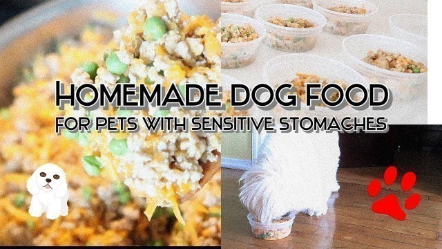'Homemade Dog Food for Sensitive Stomachs | Why I Make My Dog\'s Food | WARNING SENSITIVE IMAGES'