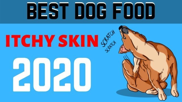 'Top 5:Best Dog Food For Itchy Skin 2020 | what\'s the best dog food for skin allergies?'