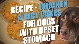 'Homemade Chicken & Rice Cakes for Dogs with Upset Stomach'