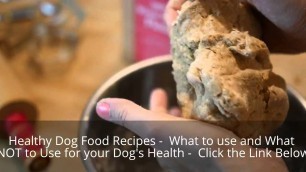 'Healthy Dog Food Recipes  - You CAN Make Healthy Dog Food Recipes'